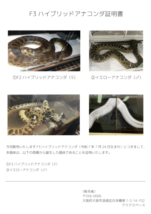 F3ハイブリッドアナコンダ（25CB）添付書類付 - 画像 (8)