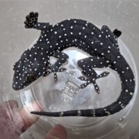 スターリーゲッコー（ペア）